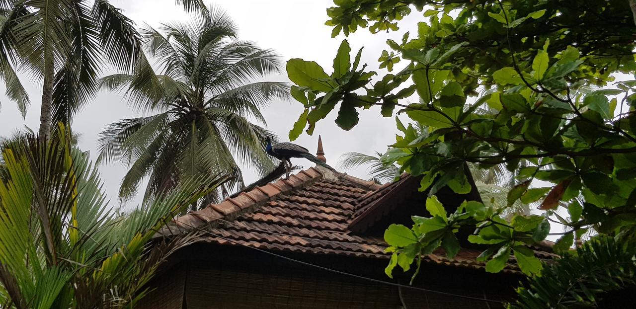 Maadathil Cottages Varkala Exterior photo